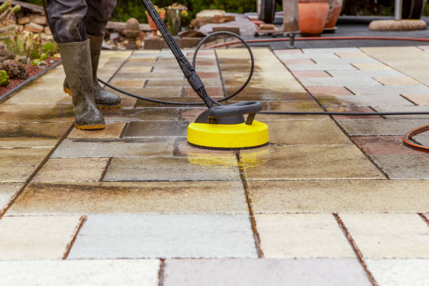 Best Dumpster Area Cleaning  in Roosevelt, NJ