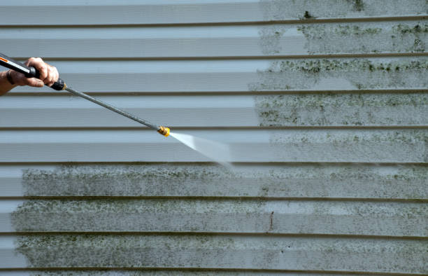 Best Building Exterior Washing  in Roosevelt, NJ